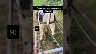 Где розетка для прицепа? #деревня #automobile #кировец #farming #трактор #юмор #село #agro #мтз