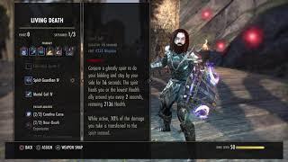 ESO - Necromancer Tank build - Markarth