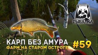 Русская рыбалка 4 #59 - Карп без Амура. Фарм на Остроге