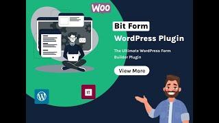 BitForm :- Streamline Your WordPress Forms with Ease