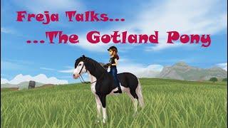 All About the Gotland Pony