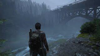 THE LAST OF US Part I & II SoundTrack | Autumn  10 HOURS Ambient Music [ The Last of Us OST ]