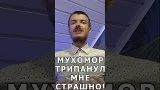 То что происходит в мухоморном трипе это очень страшно друзья! Но для здоровья если по чуть-чуть