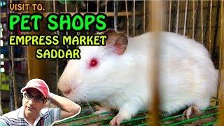 Visit to Empress Market Sadar Karachi Pet shops | Video in URDU/HINDI