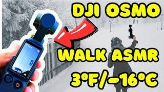 Snowstorm ASMR, Walk with DJI Osmo Pocket3 in 3°F/-16°C, Raw & Real! #snow #asmr #osmopocket #dji