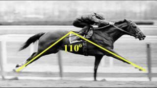 Man O' War vs Secretariat