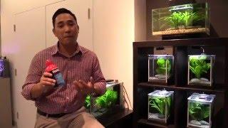 Cycle & Maintain a Healthy Aquarium