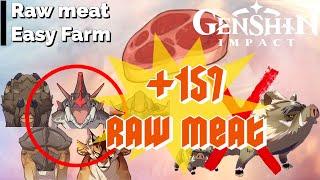 Raw Meat Farming Route | Sumeru Edition | No Boar! | Genshin Impact