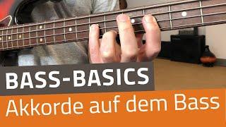 Bass Basics: Akkorde auf dem Bass
