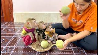 3 Siblings Feel Very Curious & Surprise While Mom Prepare Wood Apple For Dessert Treat ,