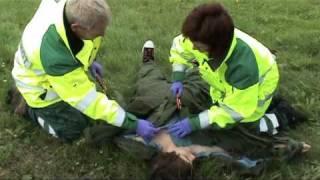 S CUT Ambulance accident site use english mpeg
