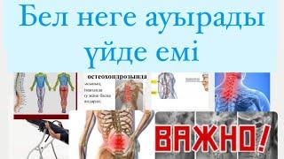 Остеохондроз бел ауруы емі