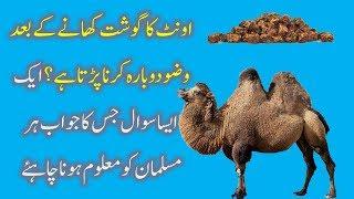 After eating camel meat, wudu is to be done again?