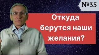 Откуда берутся наши желания? Выпуск №35