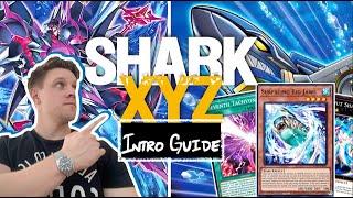 How to Play the BEST BUDGET DECK in Yugioh - Shark XYZ Complete Intro Guide (post MZTM)