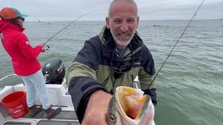 How to Fish for Chesapeake Bay Speckled Trout