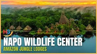 Amazon Napo Wildlife Center Lodge | Amazon Jungle Lodges