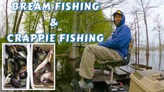 Bream Fishing & Crappie Fishing at Lake Grampus & Lake Chicot