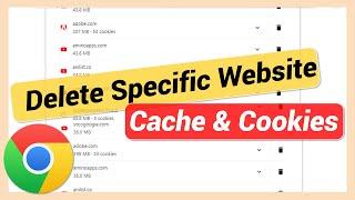 How to Delete Cookies for a Specific Website in Google Chrome (2024)