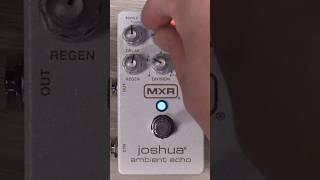 How To Adjust the Modulation on Joshua @jimdunlopusa #pedalboard #guitarist #guitarpedals #guitar