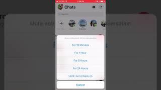 HOW TO MUTE NOTIFICATIONS IN FACEBOOK MESSENGER?