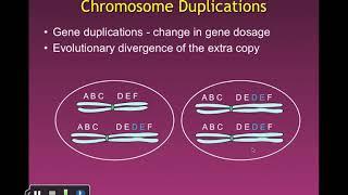 Ch 17 - Large Scale Chromosome Changes