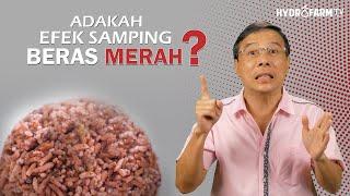 ADAKAH EFEK SAMPING BERAS MERAH ?