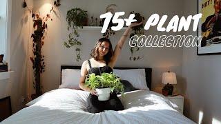 full collection houseplant tour 2022 | 75+ plants in 1 apartment ‍