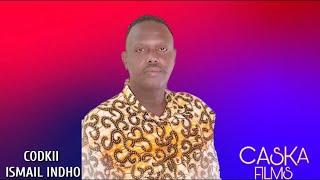 ISMAIL INDHO | XAAWALAYDU KAA BADAN | New Somali Music 2020