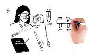 pGLO Bacterial Transformation Student Activity Video Quick Guide