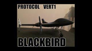 Protocol Vert 1 X520 "Blackbird" FPV flight