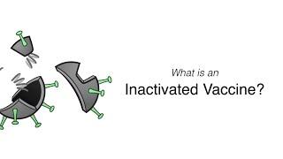 What is an Inactivated Vaccine?