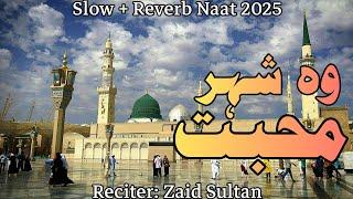 Wo Shehr e Muhabbat | Zaid Sultan | Slow + Reverb Naat 2025 | Islamic World