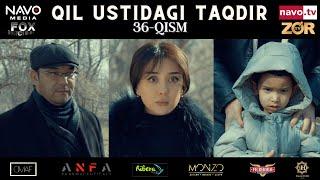 Qil ustidagi taqdir (milliy serial) 36-qism | Қил устидаги тақдир (миллий сериал)