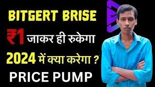 BRISE Best Coin 2024 | Bitgert Supply Burn | BRISE Coin ₹1 | Binance Listing | Price Pump