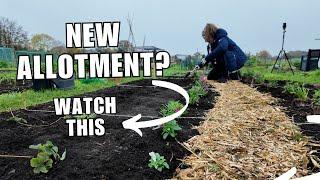 Tips for starting your first allotment - Beginners' guide for Day One.