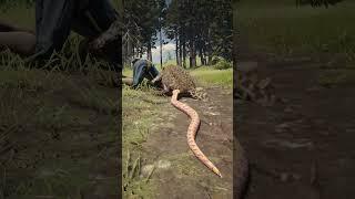 Great Survival Skills vid177