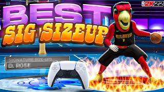 BEST SIG SIZEUP IN NBA 2K22!! GET OPEN EVERY SINGLE PLAY WITH THIS SIZEUP!!