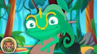 Meet The Chameleon! | Animal Songs For Kids | KLT WILD