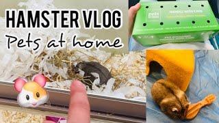 I GOT A HAMSTER|| pets at home vlog