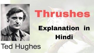 Thrushes poem line by line explanation  || Ted Hughes