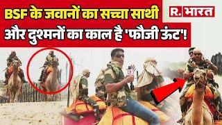 India Pakistan Border Jaisalmer: BSF का यह जांबाज ऊंट किसी फौजी से कम नहीं | घुसपैठियों का दुश्मन