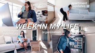 WEEK IN MY LIFE | new rug, first apartment haul, bathroom organization & more!