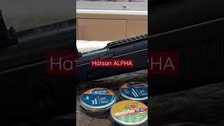 Пневматическая винтовка Hatsan Alpha #hatsan #belarus #airrifles