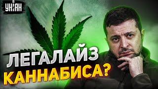 Легализация каннабиса. Зеленский сделал важное заявление