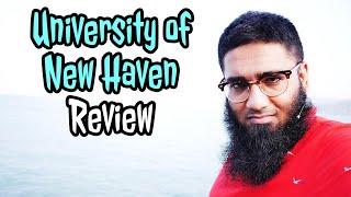 University of New Haven Worth it ? + Review!