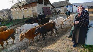 Dagestan! Life among high mountains. How do highlanders live? Russia today