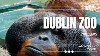 Dublin Zoo | Dublin | Ireland | Things to Do in Dublin | Dublin Attractions | Dublin City