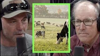 Can You Feed the Masses Without Factory Farming? w/Joel Salatin | Joe Rogan