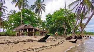 Abandoned beach in the Colombian jungle | Virtual walk of Palomino beach, Colombia